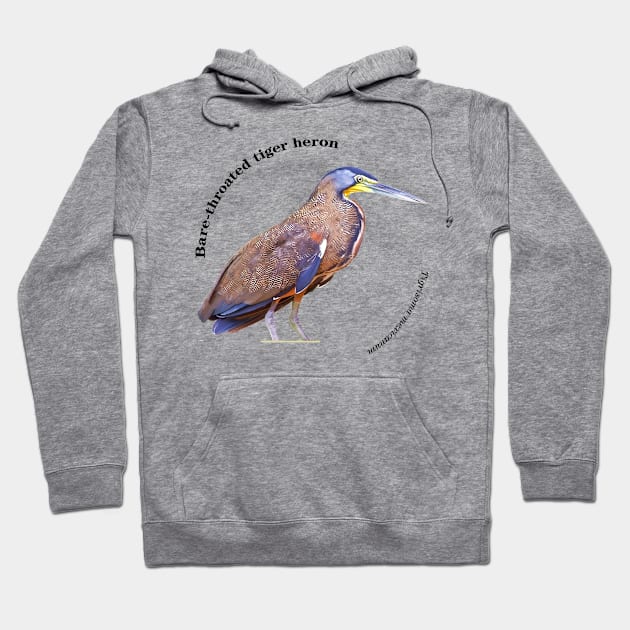 Bare-throated tiger heron tropical bird pin Hoodie by Ornamentum